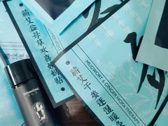 -TESLA 特斯拉(上海太古汇体验店)