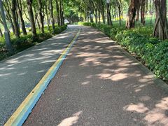 -顺峰山公园
