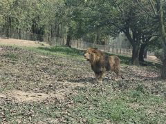 -乐和乐都主题乐园