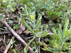 -樱桃山旅游景区