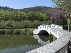 -丹樱生态园