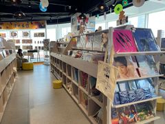 -浣熊唱片店(上海影城店)