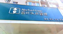 -菩叶脱发白发中心