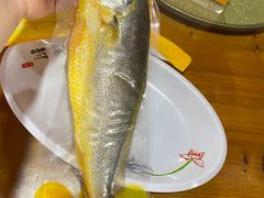 -南麂列岛