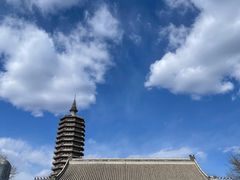 -西海子公园