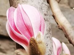 -东华门大街小区