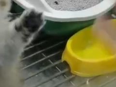 -乐宠宠物店(世纪金源店)