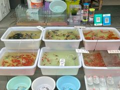 -本溪路花鸟市场(江浦路1709弄小区店)