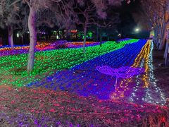 -青龙湖公园