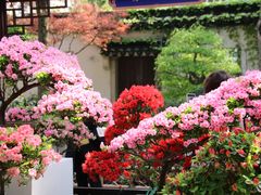 -惠山古镇·寄畅园