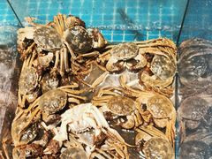 -曼格活海鲜·牛排自助(光明蓝鲸店)