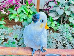 -南宫五洲植物乐园