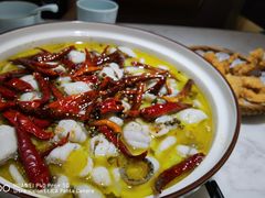 -青花椒花椒鱼(合生汇店)