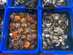 -七鲜渔港美食餐厅(巽寮湾海景店)