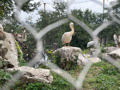 -石家庄市动物园