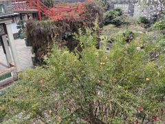 -东莞市可园博物馆