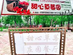 -甜心庄园·甜心草莓采摘园(西青中北店)
