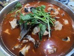酸汤鱼-贵州人家·酸汤火锅·20年老字号