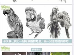 -尼莫儿童美术(三阳路融科天城校区)