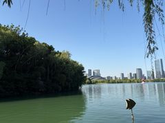 -天鹅湖体育公园