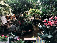 -海韵人家.海景花园经典云南菜(双廊店)