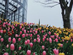 -南通洲际绿博园