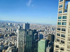 -东京都厅舍