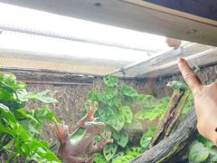 -广州长隆飞鸟乐园