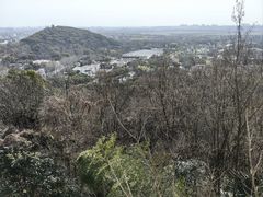 -上海佘山国家森林公园西佘山园