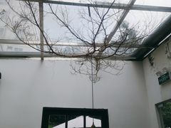 -素咫咖啡CLIFEROSE