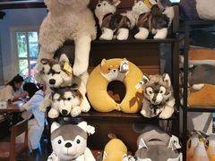 -TrueLove @ Neverland (Husky Cafe)