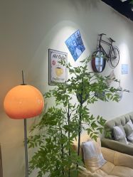 -变美丽半永久纹眉连锁·机器野生眉•洗眉