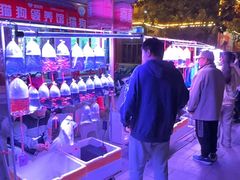 -华声天桥民俗文化园