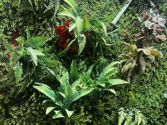 -味之绝热血美蛙鱼火锅(中坝店)