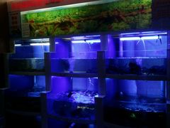 水产区-七欣天香辣蟹火锅(无锡金太湖国际城店)