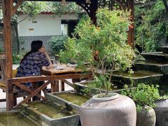 -青城甲(青城山店)