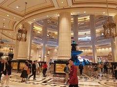 -澳门威尼斯人综合度假区