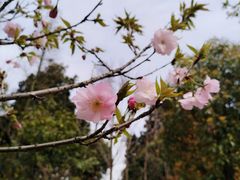 -天花井景区