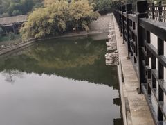 -九龙潭景区