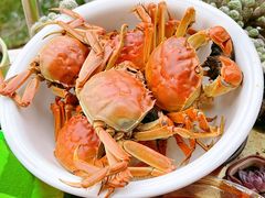 -江湖万州烤鱼(王子美食城)