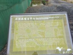 -盐城丹顶鹤湿地生态旅游区