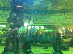 -尚泰清迈机场购物中心