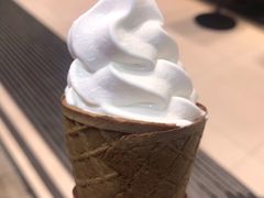 -富豪雪糕车流动点(尖沙咀店)