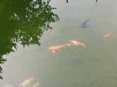 -春风习习