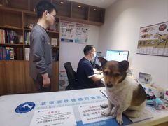 -北京派仕佳德动物医院·超导核磁·CT·神经科·骨科·内外科·急重症管理中心