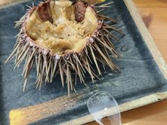 -海胆小馆(东北水饺·春柳店)