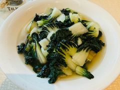 鲜竹鱼汤浸菜苗-富临饭店