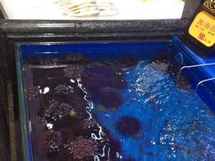 -万宝海鲜舫(劳动公园店)