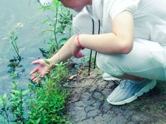 -昆山城市生态森林公园