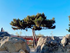-香山公园